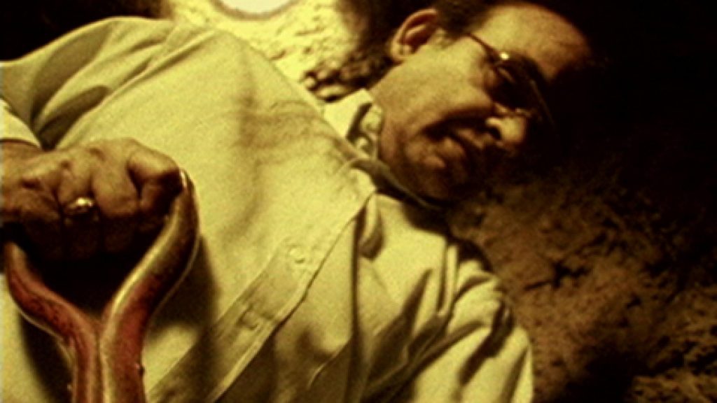 The Middle Distance Videos 1999 – 2000