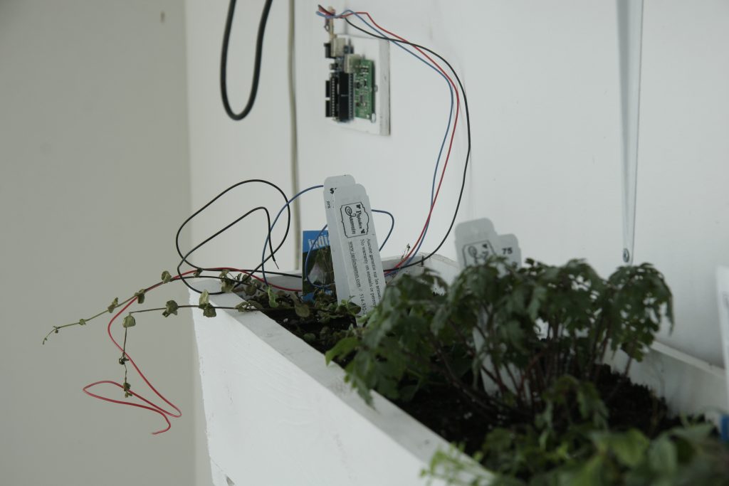 nature_data