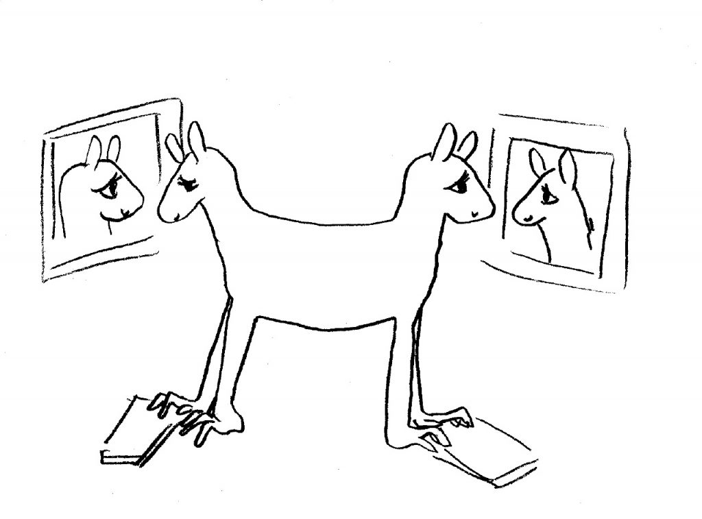 L’animation au-delà du zèbre