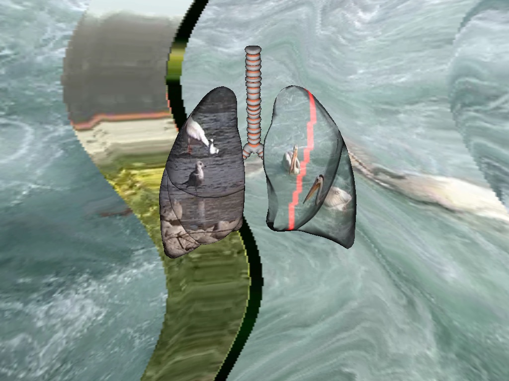 Chorus of Lungs