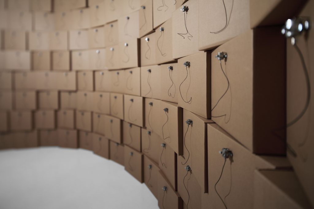 Prepared DC-Motors on Cardboard