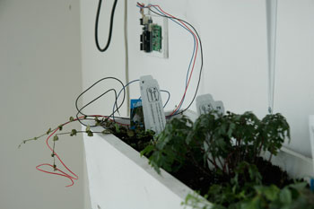 nature_data