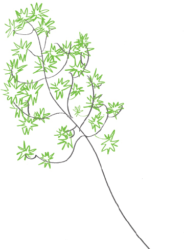 OBORO’s 25th Anniversary