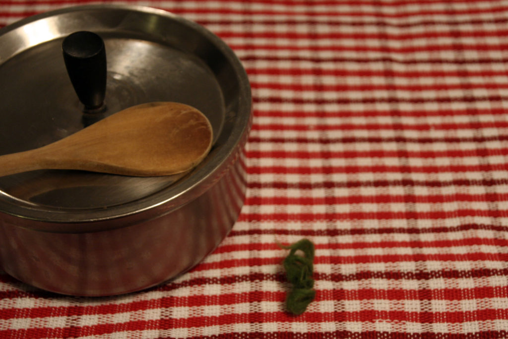 Les Ateliers Nature Vivante: UnStill Life Workshops