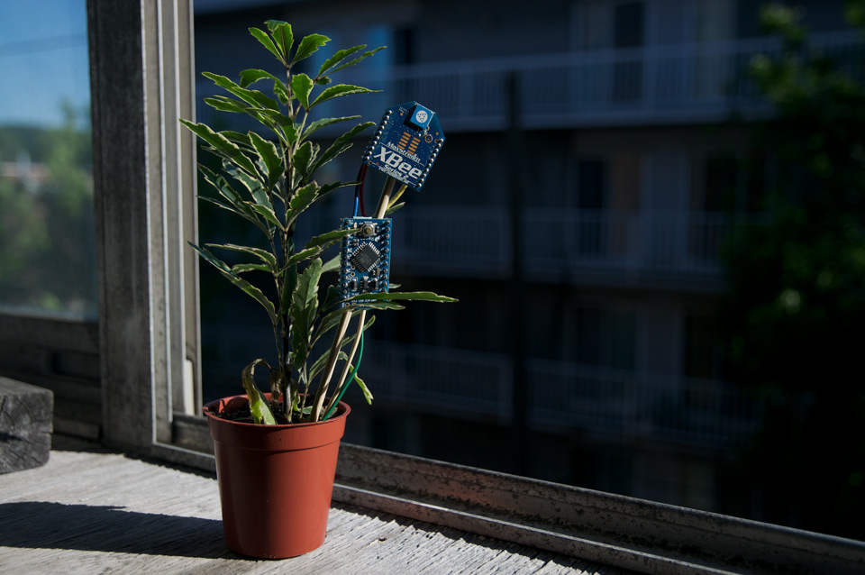Sensitive environments: using and exploring networked wireless environment sensors