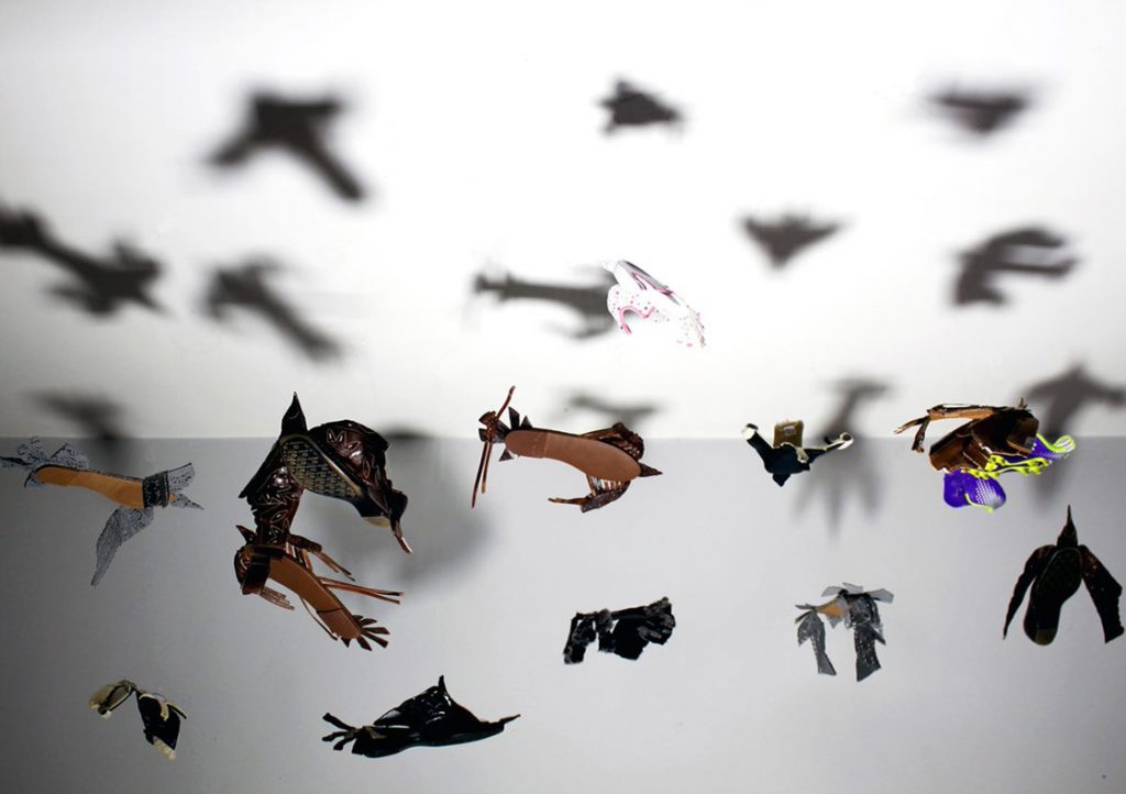 From North to South, Birds are Neotropical Migrants