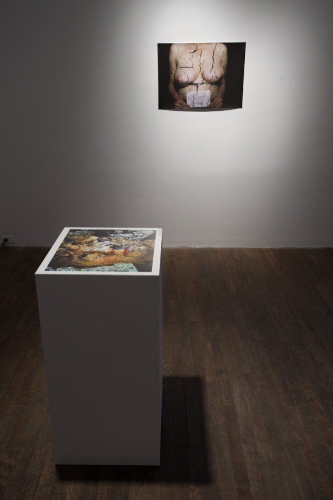 Auto/Pathographies | OBORO