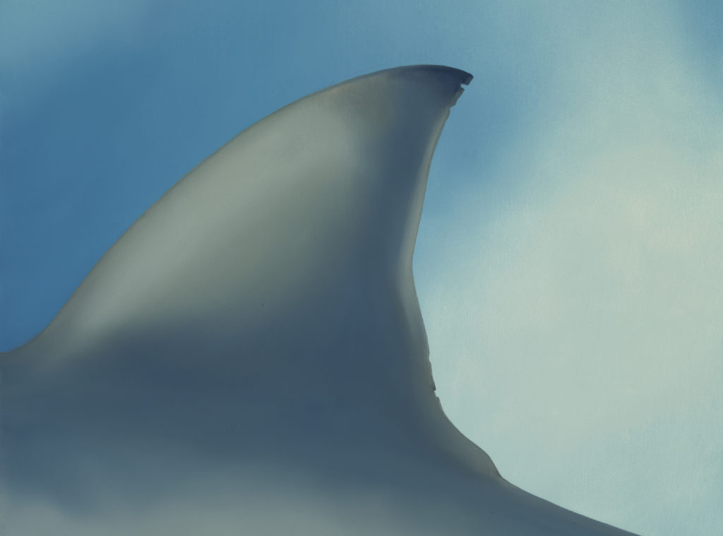 Tiburón