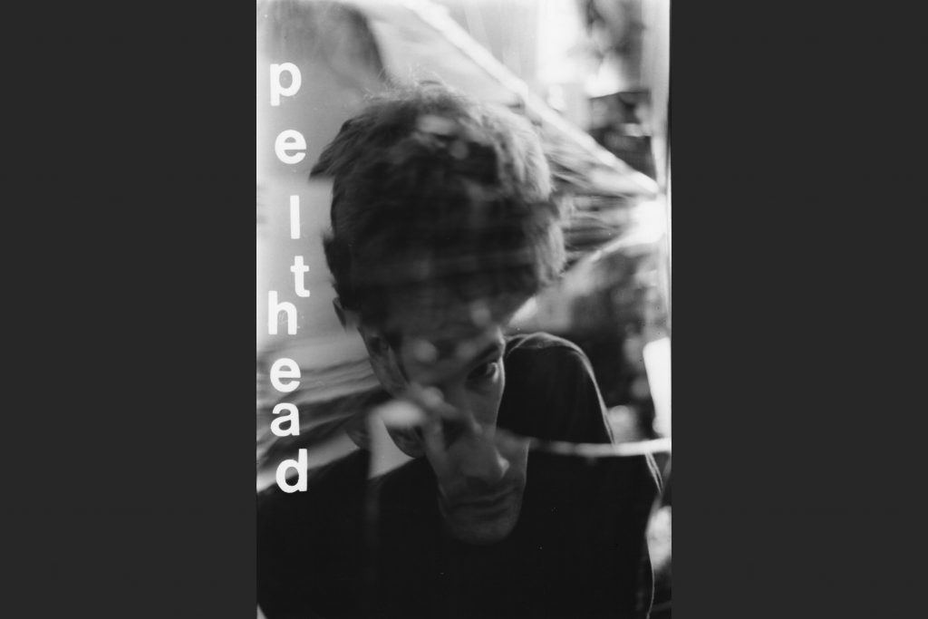 Pelthead International Conspiracy Theory