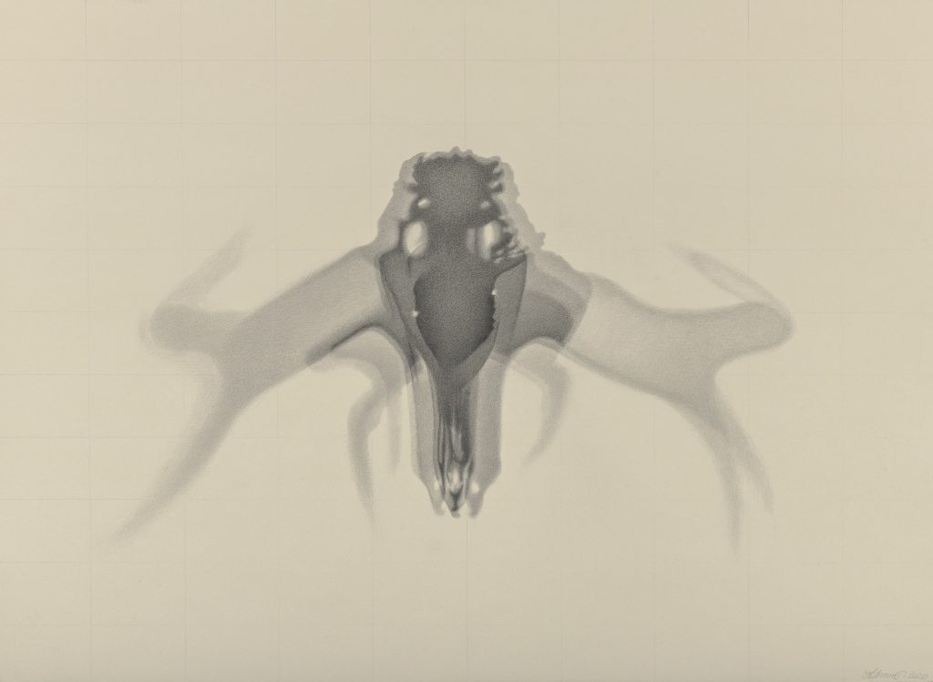 Visite commentée de l’exposition Eidolons