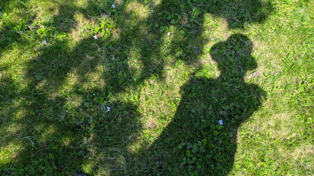 Ombre d’une personne sur une pelouse ensoleillée. La silhouette, projetée sur l’herbe, montre la tête et le haut du corps, avec un bras levé tenant probablement un téléphone ou un appareil photo. Le sol est couvert de gazon vert parsemé de petites fleurs violettes et blanches, avec des zones d’ombre provenant d’arbres environnants. Shadow of a person on a sunlit lawn. The silhouette shows the head and upper body, with one arm raised, likely holding a phone or camera. The ground is covered in green grass with small purple and white flowers, dappled with shade from surrounding trees.