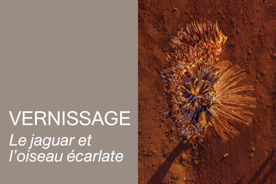 Vernissage : Le jaguar et l&rsquo;oiseau &eacute;clarlate