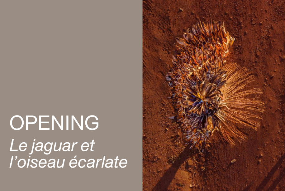Opening: Le jaguar et l’oiseau écarlate